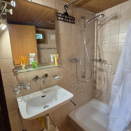 Mon Reve-Chalet Room-Lake Thun & Alpine View Apartment Sigriswil